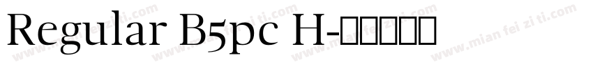 Regular B5pc H字体转换